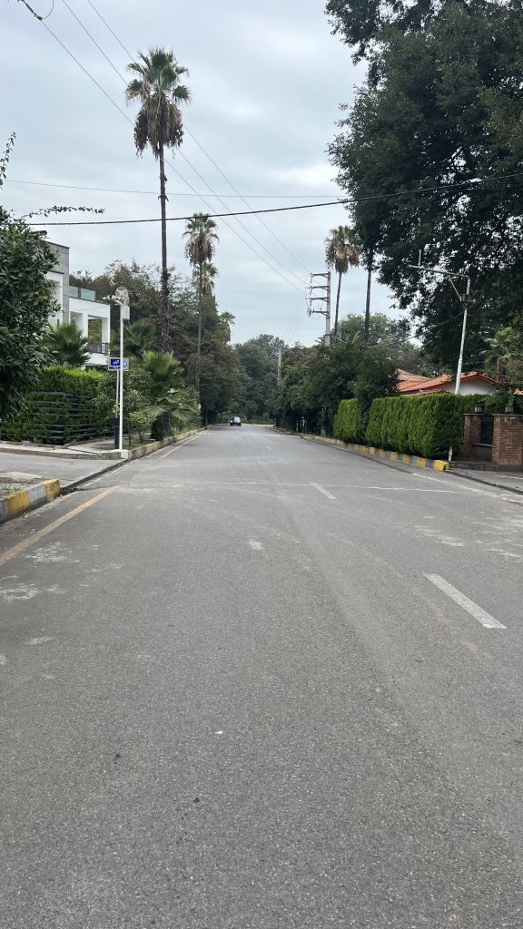 خیابان سرسبز شهرک دریابیشه با درختان نخل